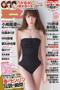 女特警2024电视剧